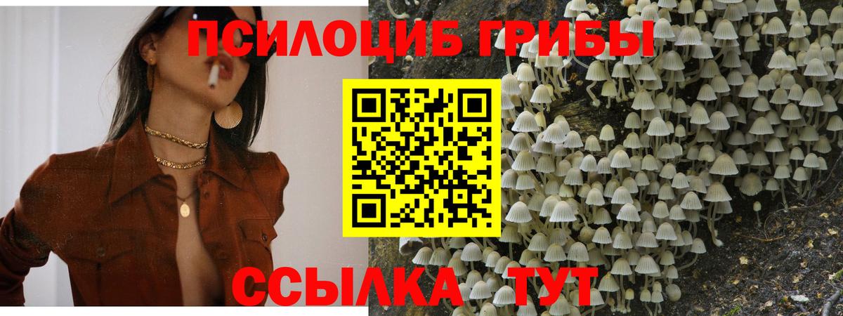 Псилоцибиновые грибы GOLDEN TEACHER Валуйки